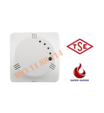 Đầu Dò Khí Gas Có Rờ-le Ra GS290K